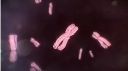 Nanomedicine Revolution