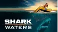 Shark Waters