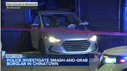 Crash-and-grab thieves hit South Side business: CPD