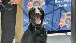 K9 Lloyd joins Rockland Sheriff's Office, honors fallen firefighter