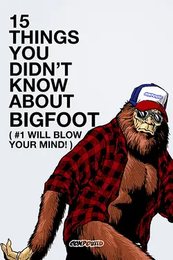 15 Things You Didn't Know About Bigfoot