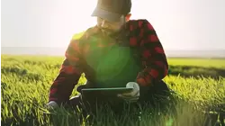 $1M grant helps Tulare County farmworkers pursue advance careers in Agriculture