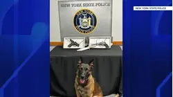 State police find loaded gun during traffic stop on LIE