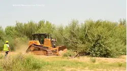 Trump administration pauses construction of border wall at Big Bend National Park