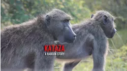 Kataza a Baboon Story