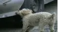 Life's Funniest Moments