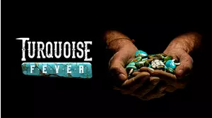 Turquoise Fever