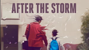 After the Storm