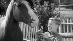 Adventures of Champion: Ep 10 - Hangman's Noose (1955)