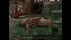 Animals In The Attic