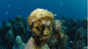 Corals and Quetzals