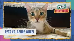 Pets VS. Genre Wheel