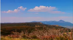 Mesa Verde (1906)