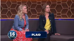 Alison Sweeney and Mary Lynn Rajskub vs. Steven Weber and Wilson Cruz