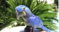Best Pets of the Month