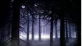 Unsealed Alien Files