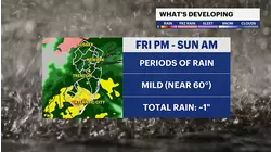 Rain threatens the weekend as today's fog begins a milder stretch of weather