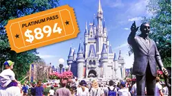 Why Disney World Is So Expensive