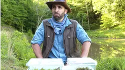 Poisonous Frog Taste Test