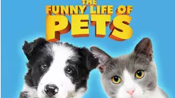 The Funny Life Of Pets