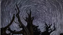 Asteroid or Alien Tech?