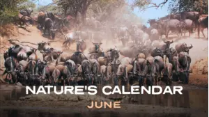 June