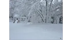 LIVE UPDATES: LIRR announces limited services for Tuesday