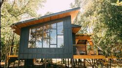 Tiny BNB: Tree House Time Turner