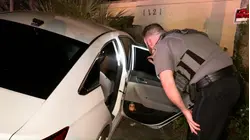 Warrant Round Up