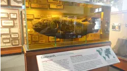 Battle of Palmdale and More