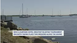 Annual WICC Greatest Bluefish Tournament returns to Long Island Sound