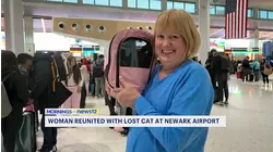 Airport officials track down missing cat after Newark scare