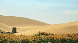 The Forbidden Oases of the Taklamakan