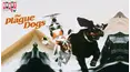 The Plague Dogs