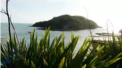 Goat Island