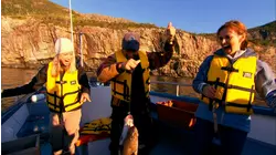 Newfoundland