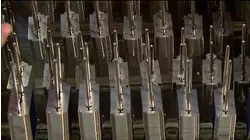 Game Calls and Mayonnaise