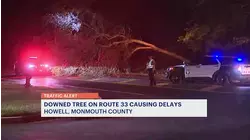 Large tree crashes on wires, blocks part of Howell road