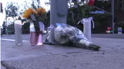 13-year-old boy killed in Dana Point hit-and-run crash; driver in custody