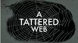 A Tattered Web