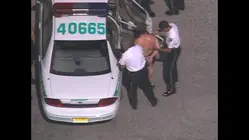World's Wildest Police Videos