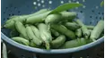 Grow Cook Eat