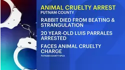 Police: Patterson man beat and strangled rabbit