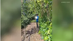 Our Chicago Part 2: Carnegie Young Leaders