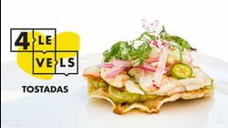 4 Levels of Tostadas: Amateur to Food Scientist