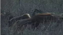 No Limits Hunting S7:E3 "Black Gold"