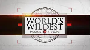 World's Wildest Police Videos