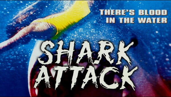 Shark Attack on FREECABLE TV