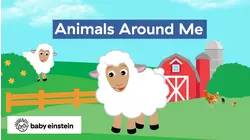 Animals Around Me