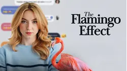 The Flamingo Effect